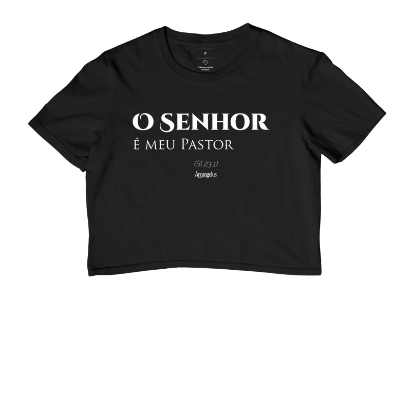 O Senhor e meu Pastor