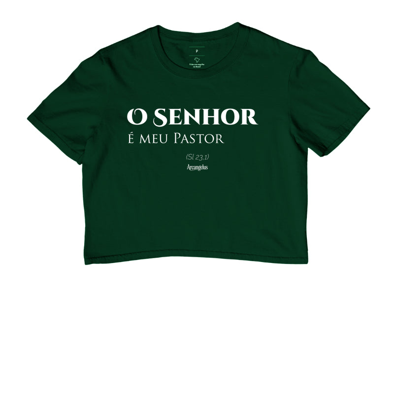 O Senhor e meu Pastor