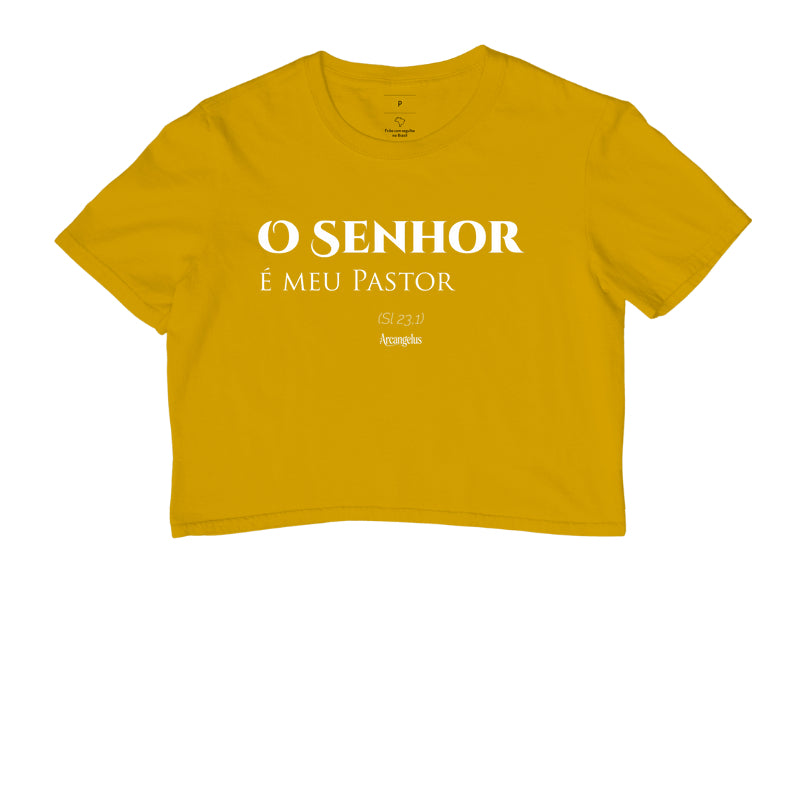 O Senhor e meu Pastor