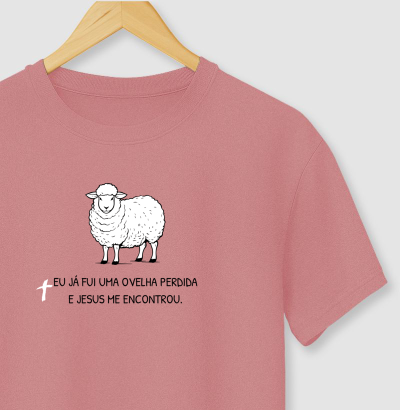 Ovelha Perdida